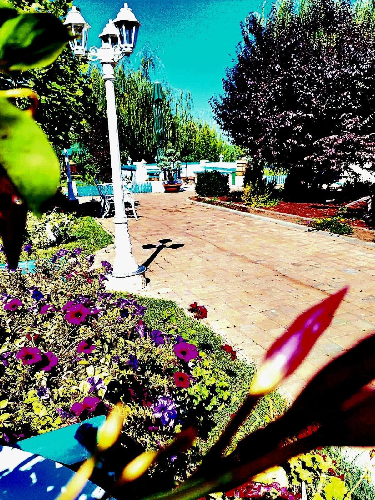 Pensiunea Prigoria Hotel Murighiol Buitenkant foto
